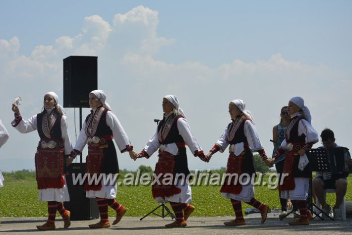 alexandriamou.gr_trikala28.5.2018048